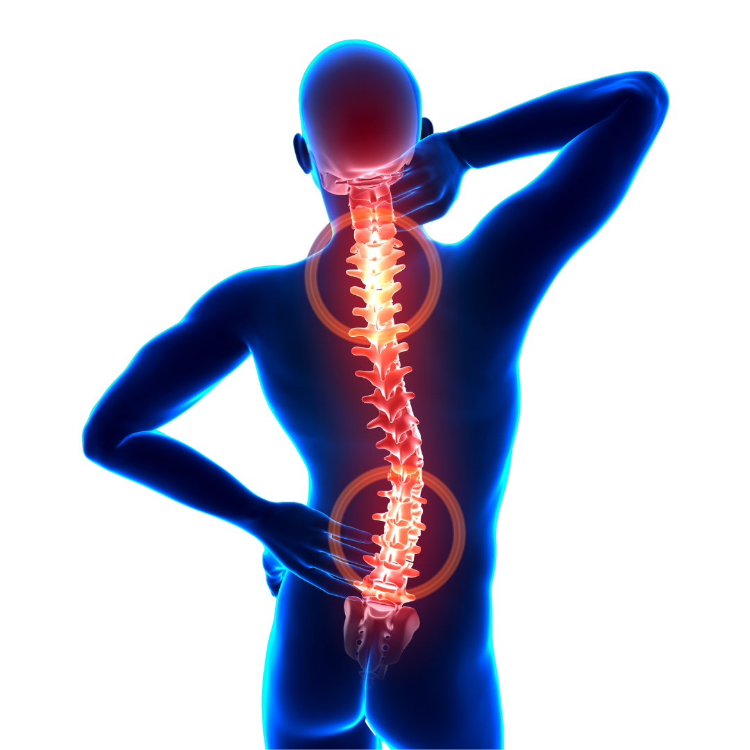 Spinal Disc Replacement Surgery richardson