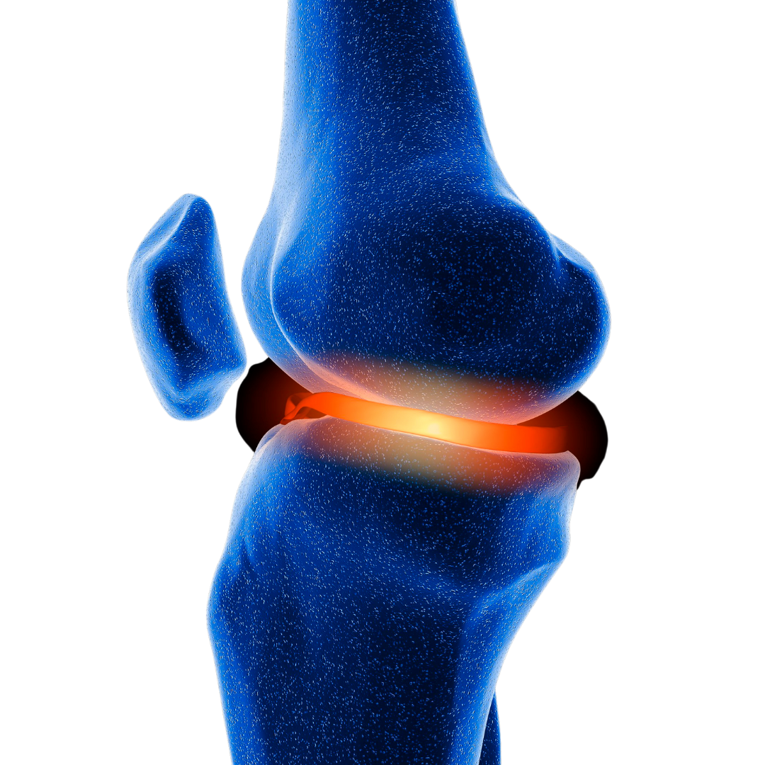 meniscus surgery richardson